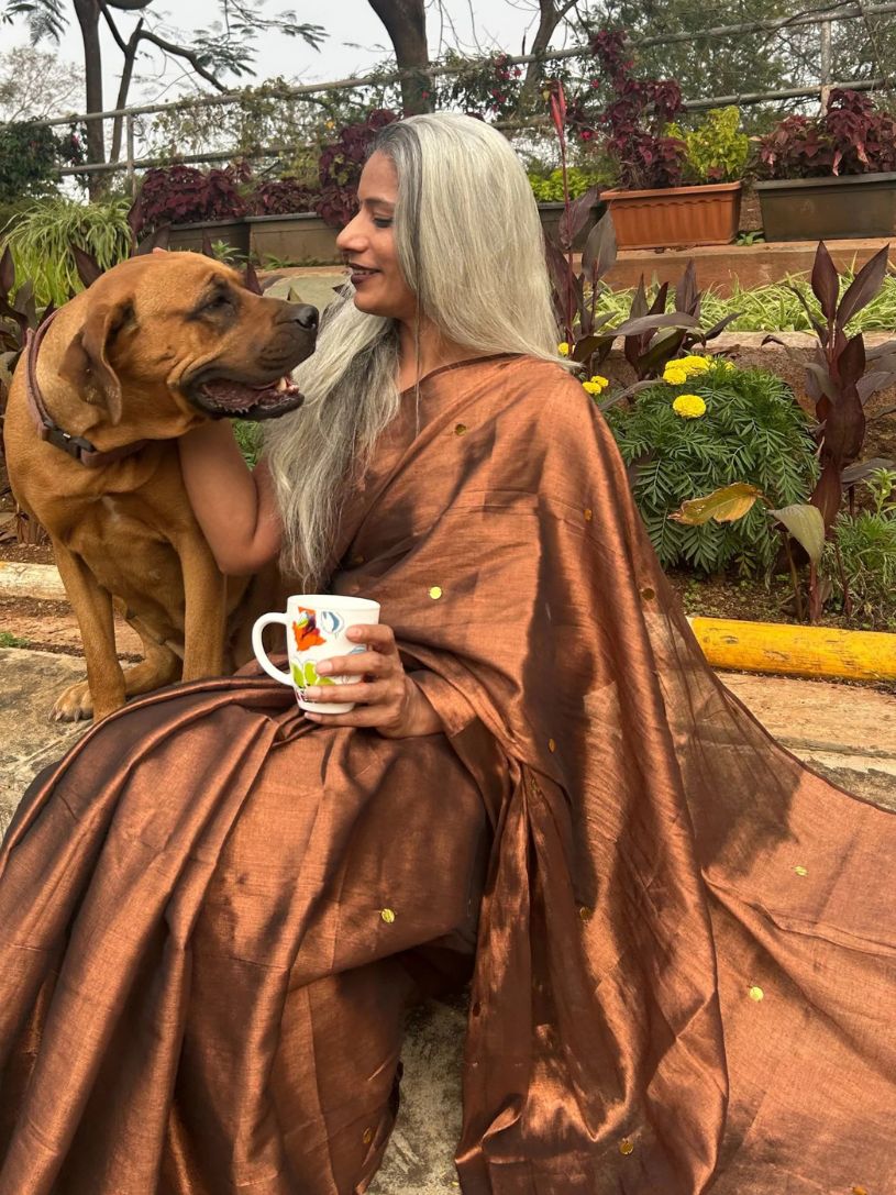 Brown Tissue Cotton Saree with Gini Work