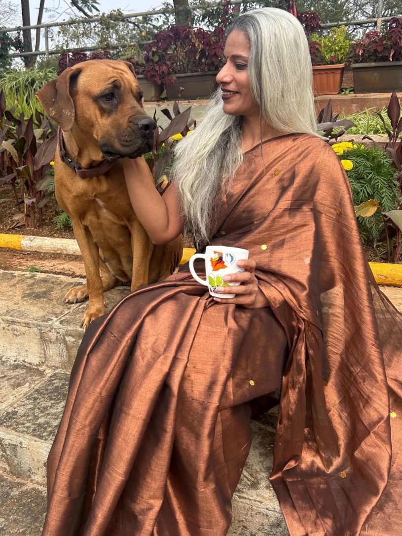 Brown Tissue Cotton Saree with Gini Work