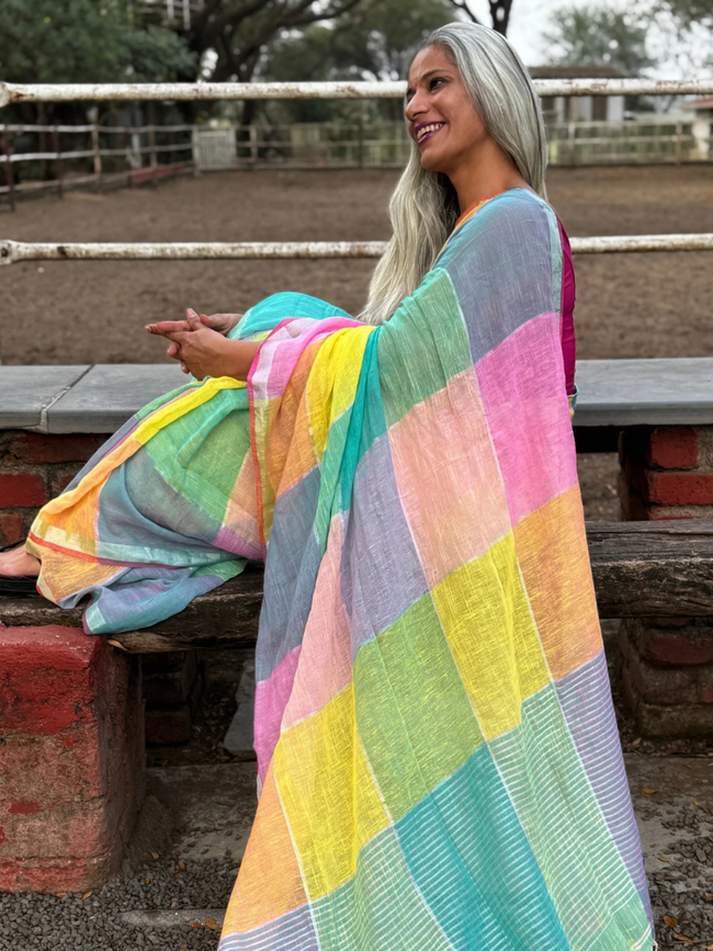 Pure Linen Multicolour Saree Hover Image